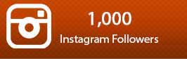 Go Viral Instagram